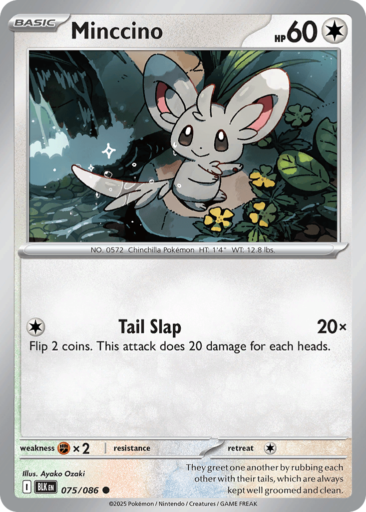 Minccino