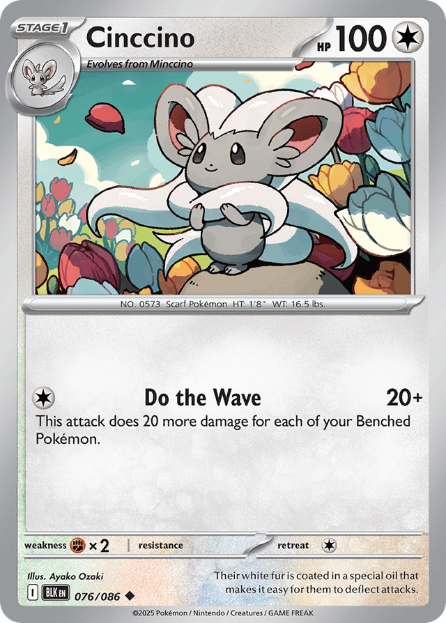 Cinccino