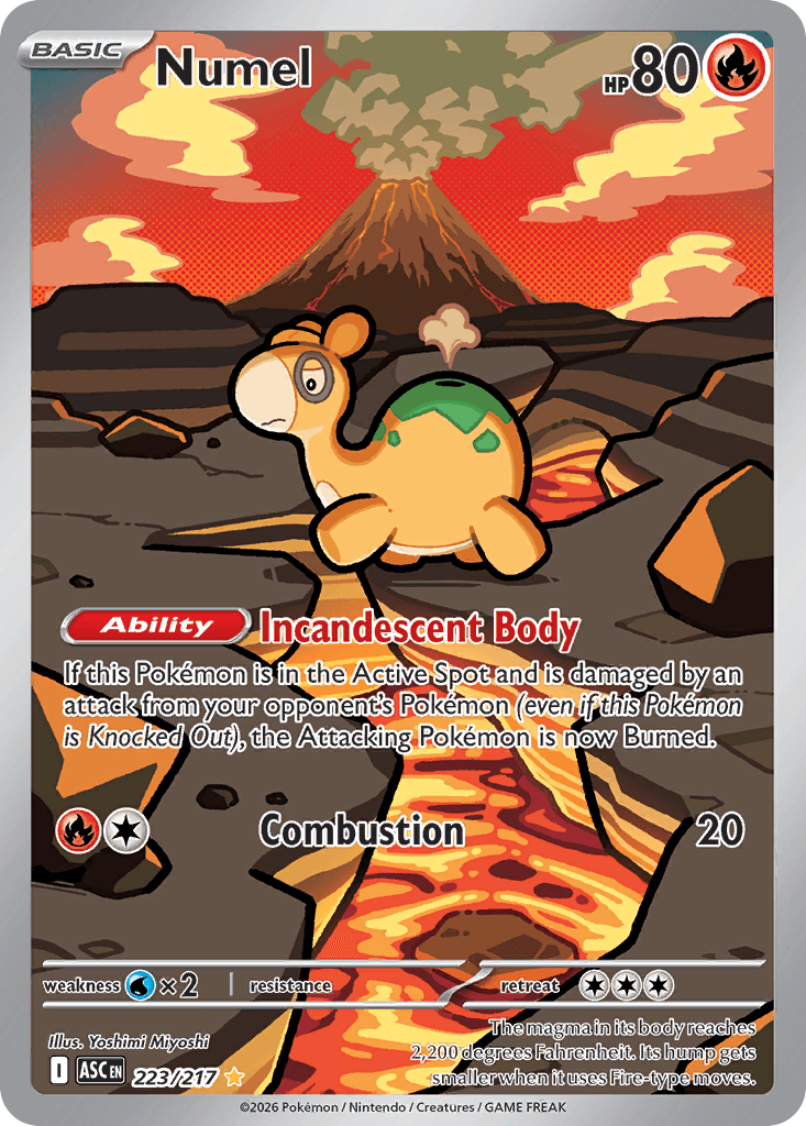 Numel
