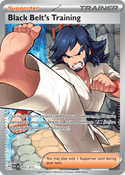 Black Belt's Training